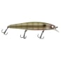 Dying Blue Gill