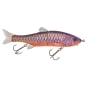 Purple Koi