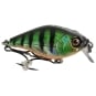 Bright Sunfish