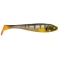 Blue Gill