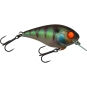 Magic Green Perch