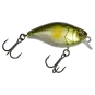 SG Ayu