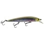 Aurora Baitfish