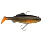 Gold Carp
