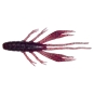 Magic mad Shrimp