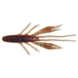 Magic Pumpkin Shrimp