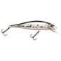 Bait Fish Silver