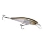 Ghost Minnow