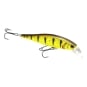 Tiger Perch
