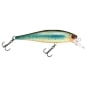 Brook Trout