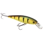Tiger Perch