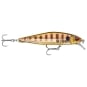Glassy Gill UV