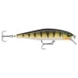 Live Perch