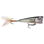 Live Roach