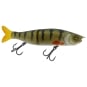 Perca