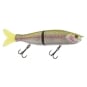 Rainbow Trout