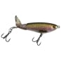 Rainbow Trout
