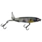Abalone Shad