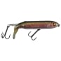 Rainbow Trout