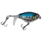 Sardine