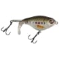 Baby Trout
