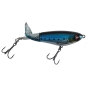 Sardine
