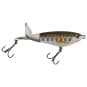 Baby Trout