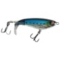 Sardine