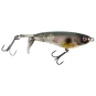 Abalone Shad