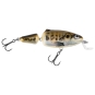 Muted Minnow