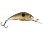Pearl Shad