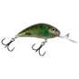 Green Gill Clear