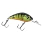 Hot Perch