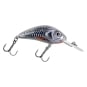 Silver Holo Shad