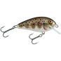 Holo Brown Trout HBT