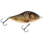 Supernatural Mirror Carp