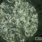 morepic-3
