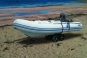 morepic-5