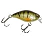 morepic-8