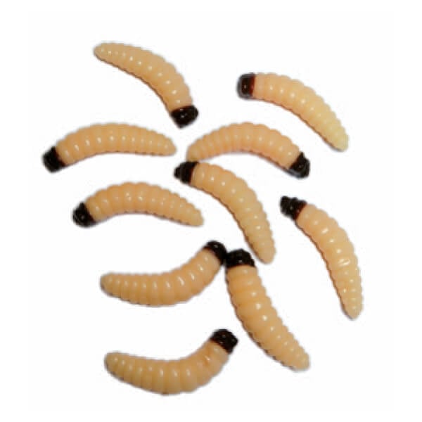Behr Trendex Artificials Bienenmaden Gro 10 Stck im Kder Laden kaufen