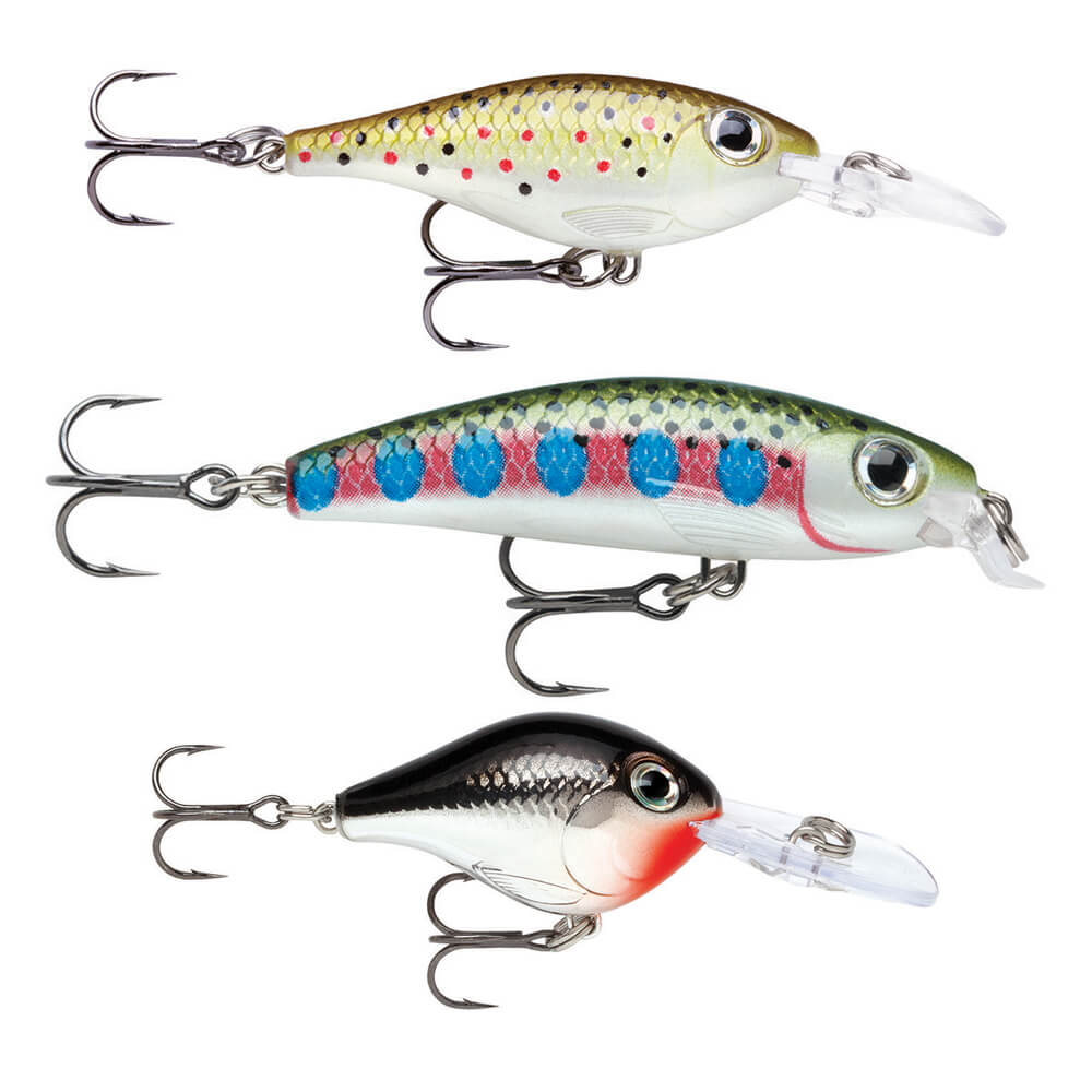 Rapala X-Rap Saltwater - Leurre de Pêche pour Les Gros Prédateurs - Mer