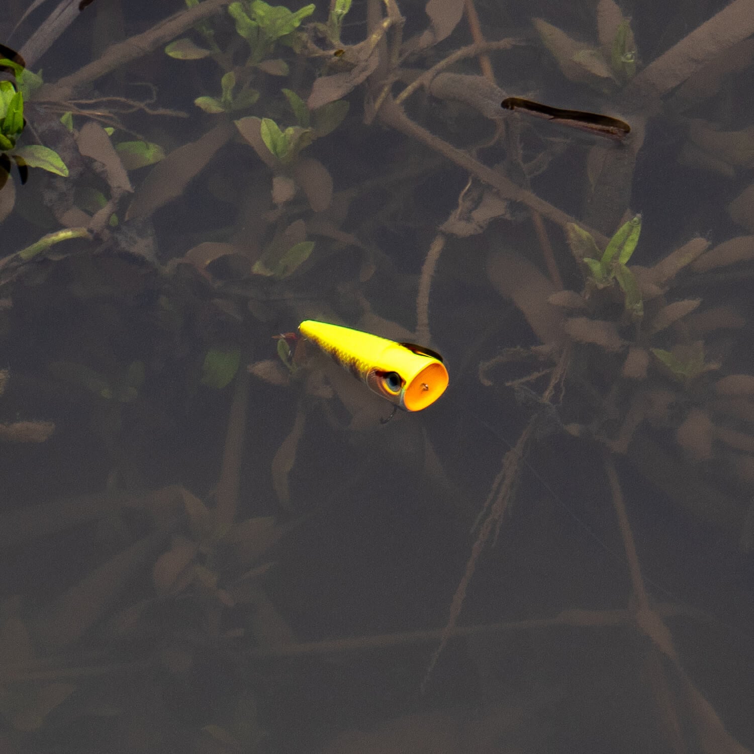 zoompic-11