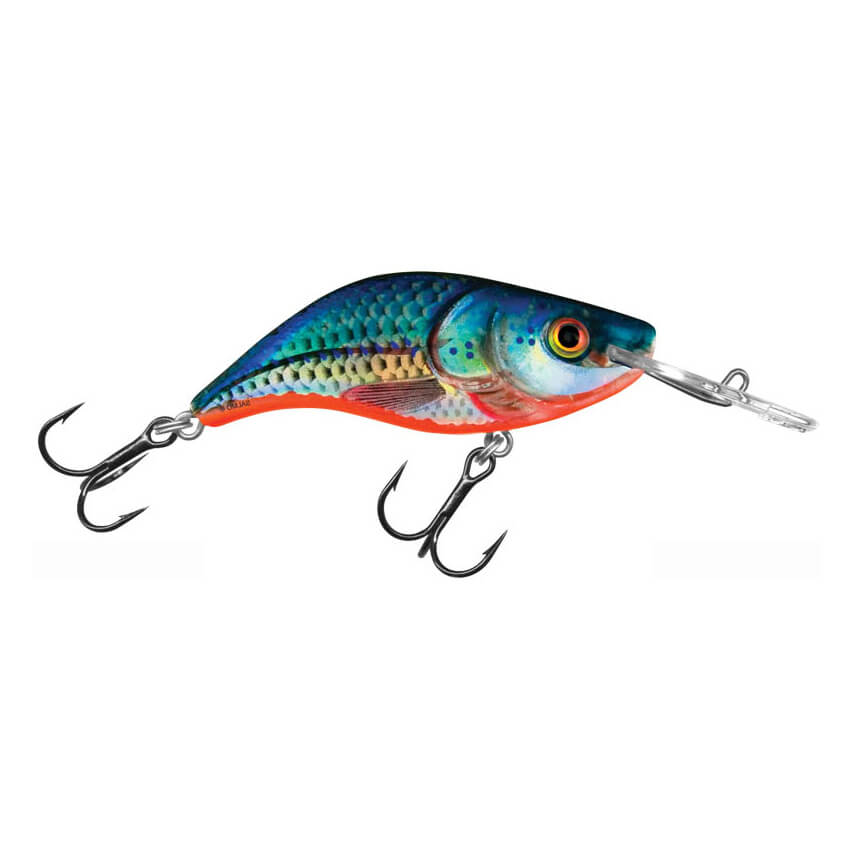 zoompic-2
