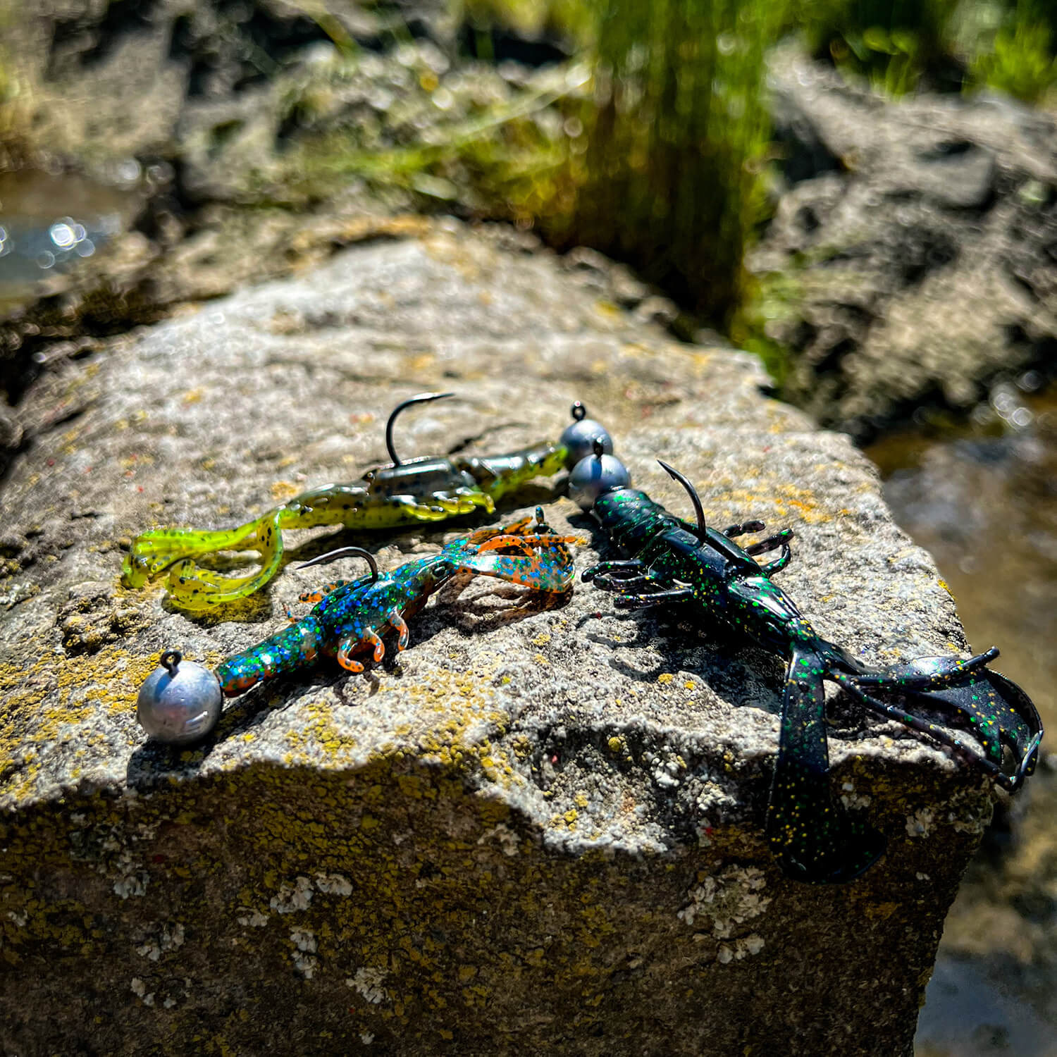 zoompic-4
