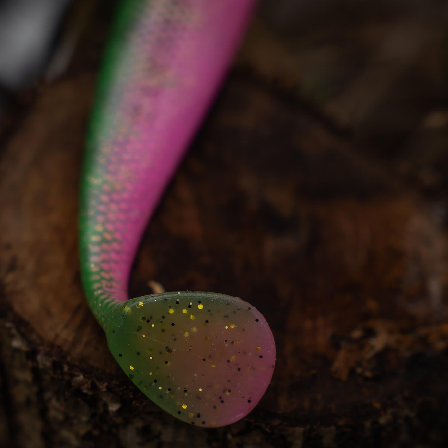 zoompic-8