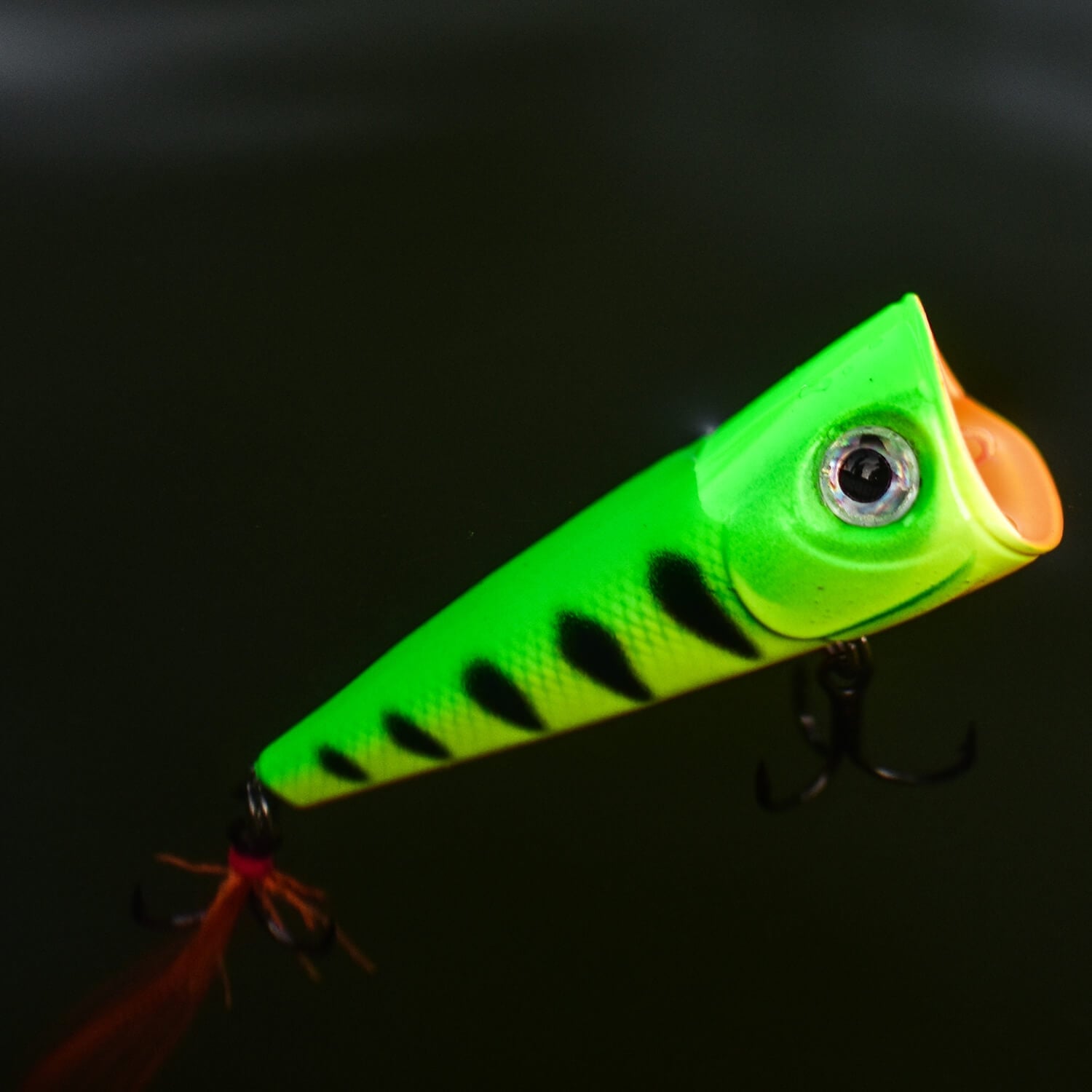 zoompic-8